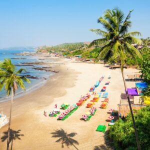 Romantic Honeymoon in Goa