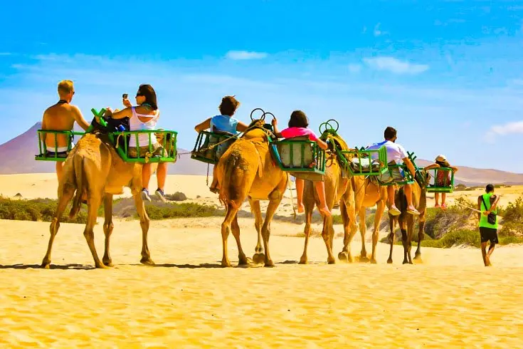 Camel-Safari-In-Rajasthan-1280