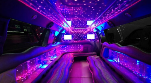 limo bus hire