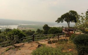 wildlife in laos