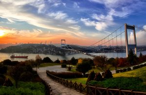 turkey