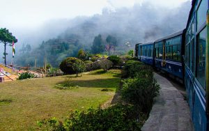 darjeeling