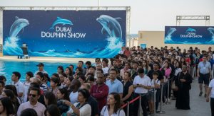 dolphin show dubai