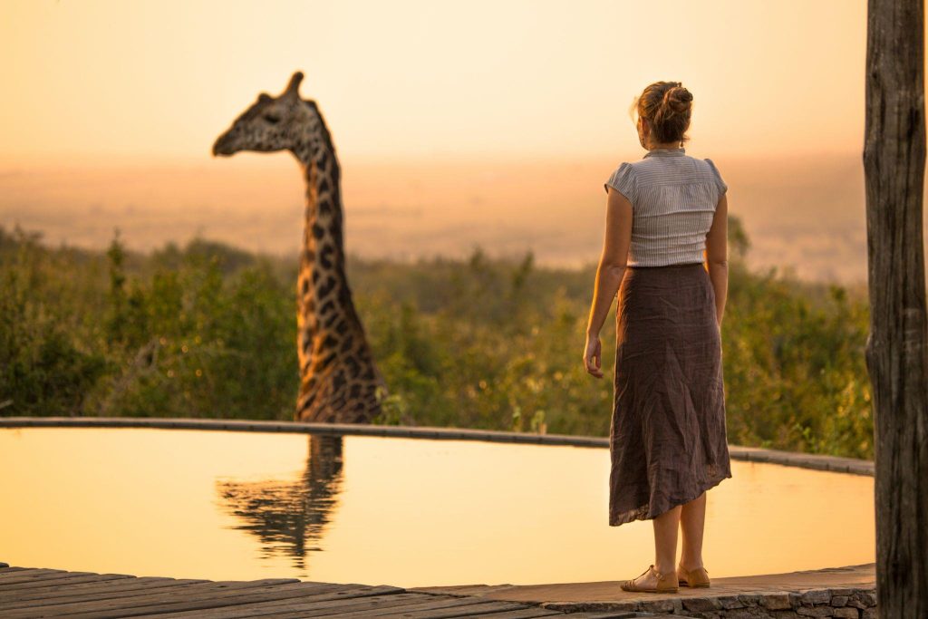 dubai safari park