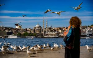 turkey