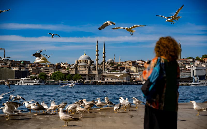 turkey