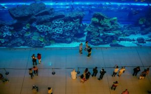dubai mall aquarium