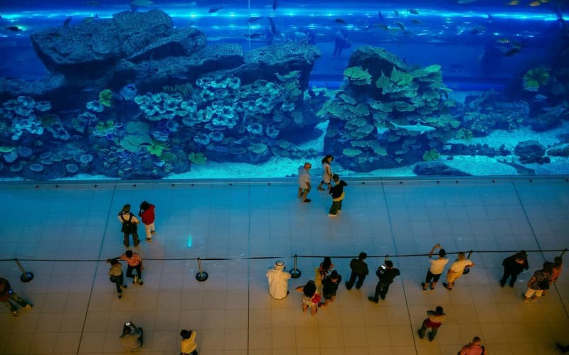 dubai mall aquarium