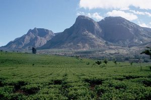 malawi travel