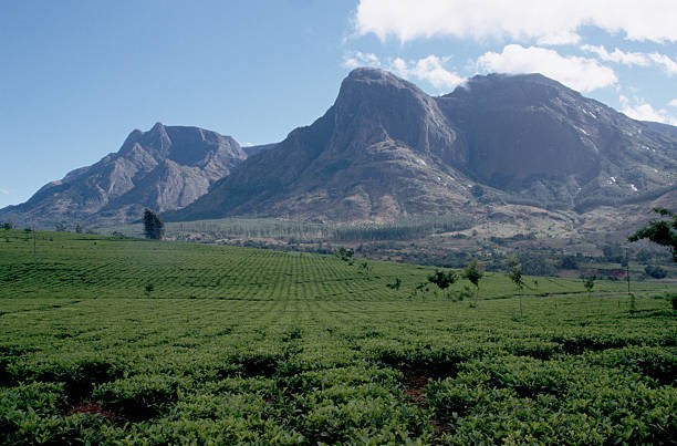 malawi travel