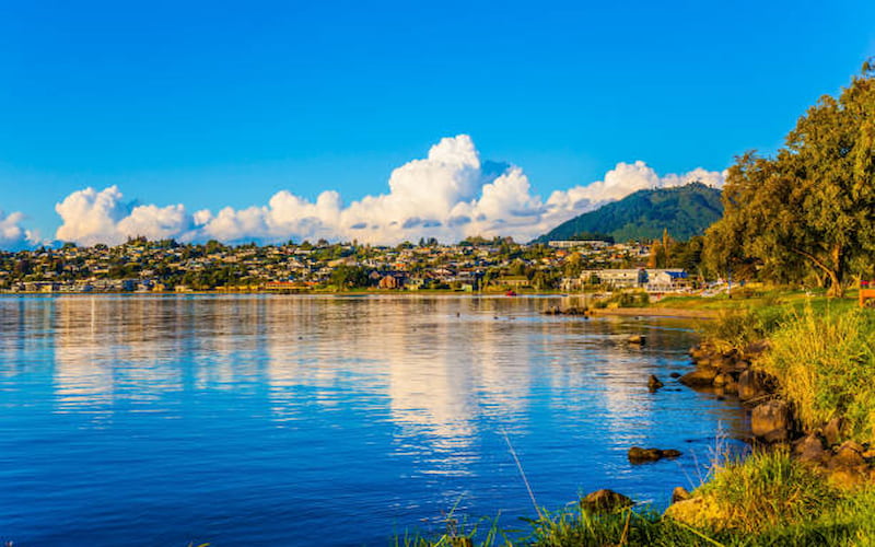 new zealand