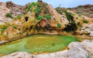 oman tour