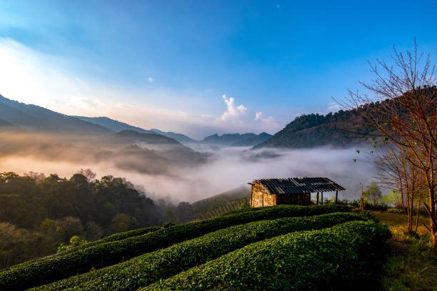 sri lanka