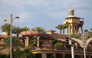 wild wadi dubai 