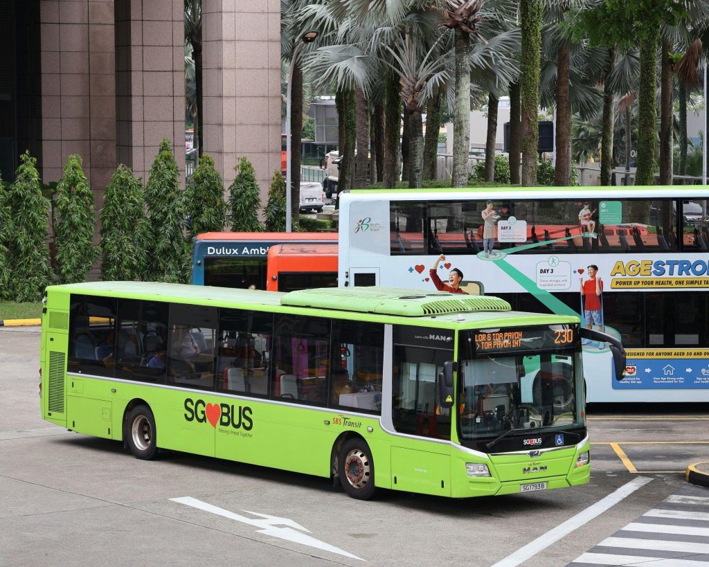 big bus tour dubai