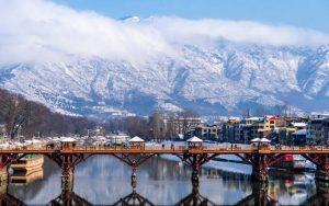 kashmir