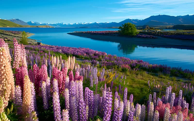 places to visit new zealand