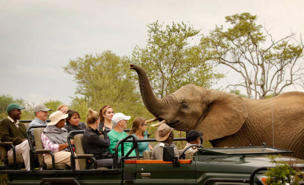 tanzania tour