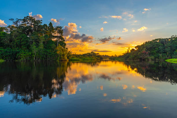 guyana travel visa