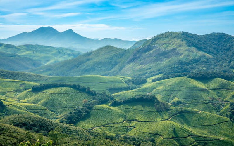 kerala tour packages