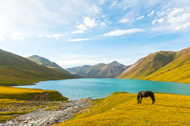 kyrgyzstan nature travel