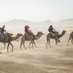 Why a Musandam Dibba Trip from Dubai Is a Must-Do Adventure