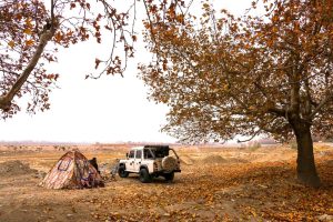 musandam dibba trip