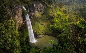 new zealand visa