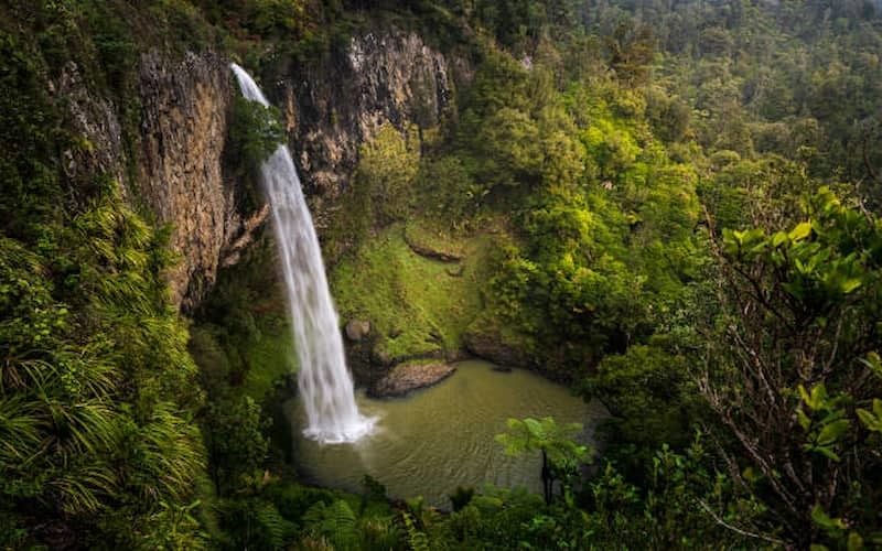 new zealand visa