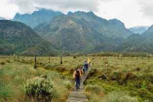 uganda’s national parks