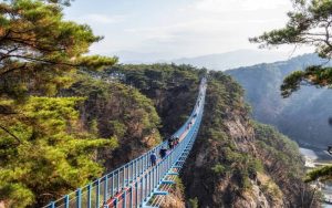 unique experiences south korea