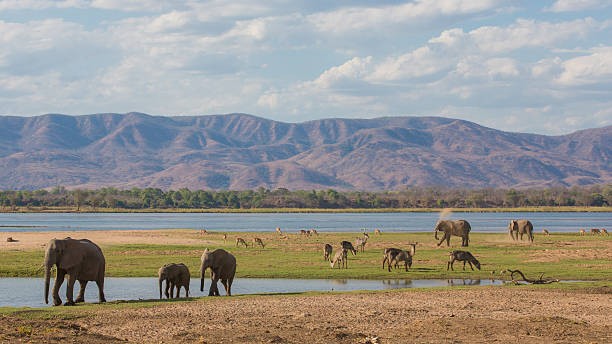 zambia travel guide