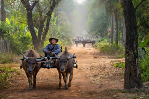 cambodia