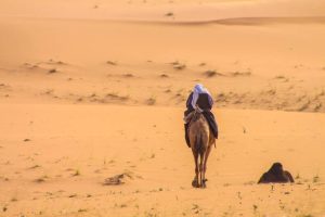 outdoor adventures kuwait