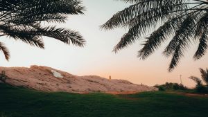 palm jumeirah