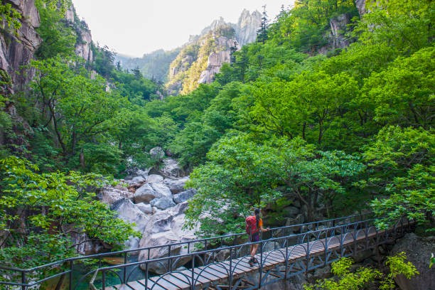south korea national parks